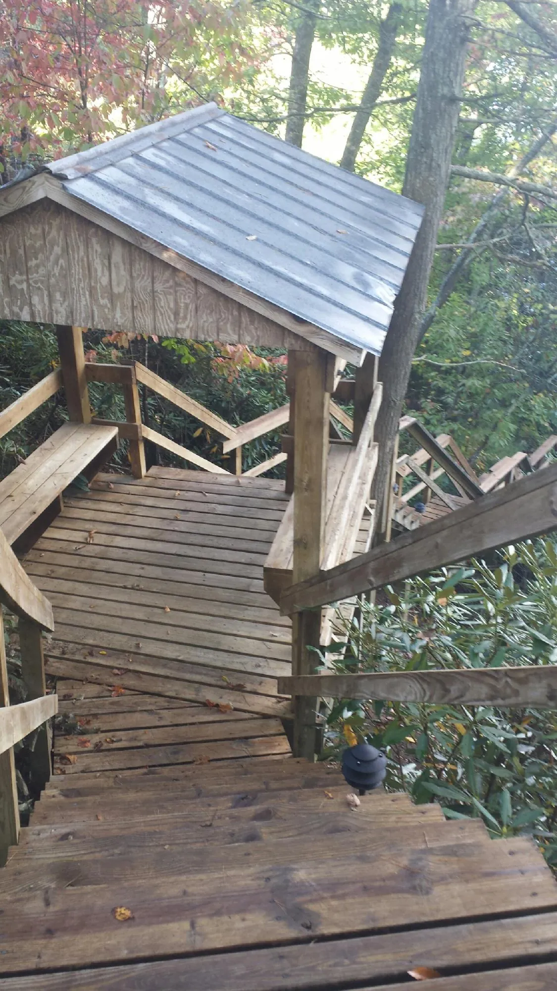 Metal roofed shelter over wooden steps on a wooded walkway — Skylight Repair & Installation work by our crew in Wild Rose