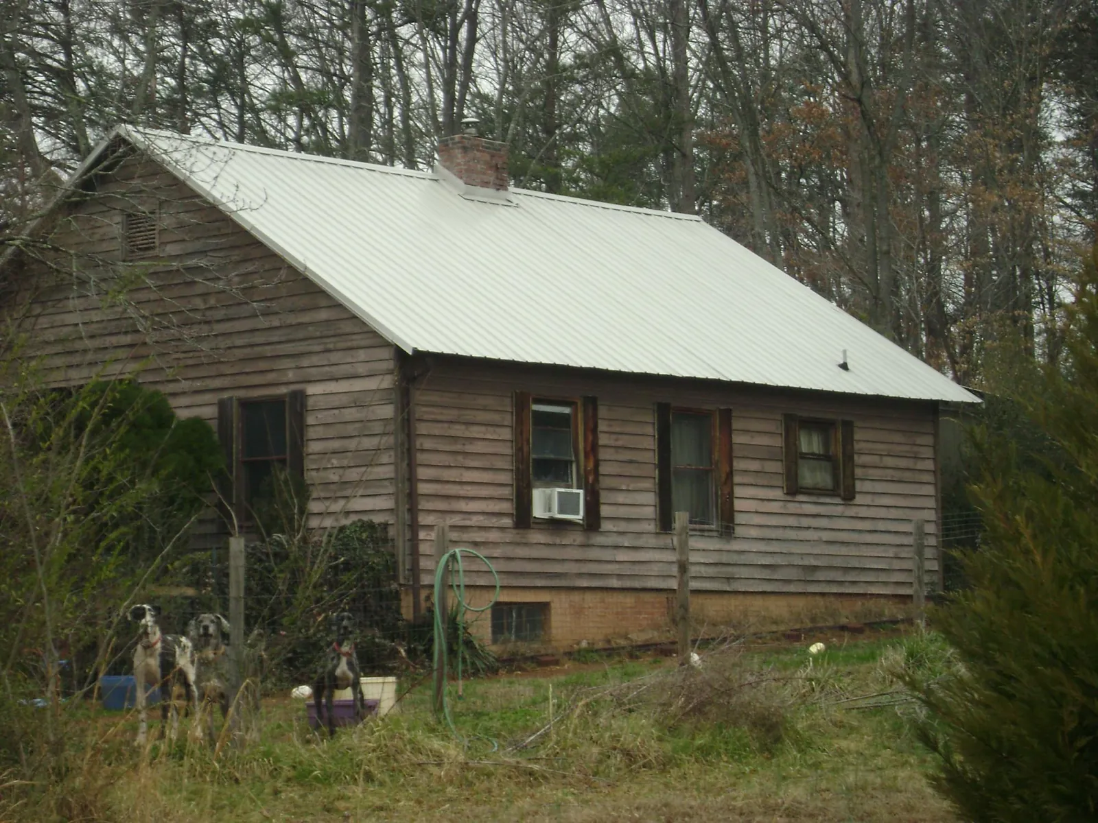 White metal roof on an old wood sided farmhouse, from a Asphalt Shingle Roof Repair job in Wild Rose
